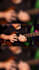 write, and record guitars for your songs