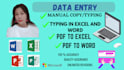 do excel data entry, microsoft,pdf to word manual typing,