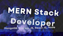 mern stack developer react application