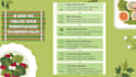 create a customized meal plan based on your bmi and health goals