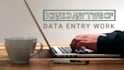 do professional data entry copy paste and web research