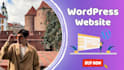 make a fast and quality site for you with wordpress
