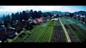 do expert video editing