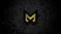 create your quick impact logo animation