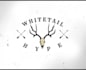 design awesome beautiful deer logo