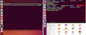 do operating system, c language ,c,python  programming projects