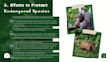 make a professional presentation