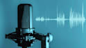 record a professional arabic voice over for your script