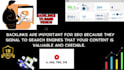 be your youtube seo expert for top rank