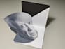 convert self portrait to 3d optical illusion card