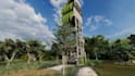 create a beautiful tiny house or cabin for you