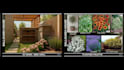 design professional landscape, garden, and outdoor spaces