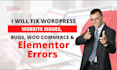 build and fix a custom woocommerce online store with elementor pro