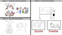 create a captivating whiteboard animation explainer video for you