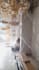 create interior design and visualization your space