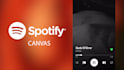 create high quality spotify canvas