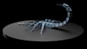 do 3d models with textures and lighting in autodesk maya