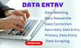 do data mining data correction primary and secondary data entry jobs low price