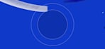 build professional, responsive website with custom features