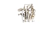 perform docking and advanced molecular dynamics simulation