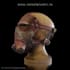 process your images through photogrammetry to a 3d model