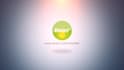 do after effect template customizing