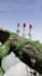 do 3d commercial animation 3d cgi product animation 3d vfx animation cgi vfx ads