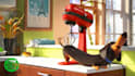 add logo and text funny dog video ads
