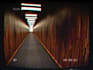make a 3d halloween or christmas horror movie for you