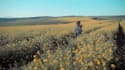 edit provided footage into a beautiful video