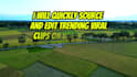 quickly source and edit trending viral clips on your demand