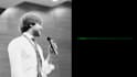 record a professional estonian voice over