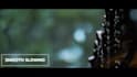 professionally edit your video using adobe premiere pro