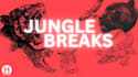 create high energy jungle music and drum and bass