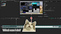 edit tiktok, youtube shorts or reels with capcut