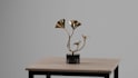 3d product animation video