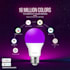create custom animation and motion graphics