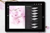 send a set of realistic watercolor procreate brushes
