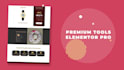 develop responsive ecommerce website in wordpress