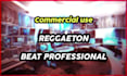 produce a customized professional reggaeton beat