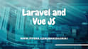 be your expert web developer in laravel PHP vue js and reactjs