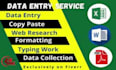 do data entry, mining, web research and scraping