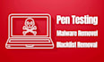 pen testing and malware removal