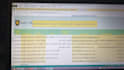 your will be your data entry assistant
