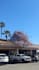 do futuristic 3d anamorphic animation billboard animation 3d cgi animation fooh