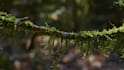 blur background in photoshop