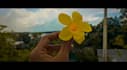 edit mobile video clip