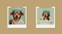 create custom ai generated dog portraits in fun and creative styles