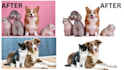 do bulk image background removal, replacement cropping, resize image