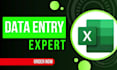 be your microsoft excel spreadsheet expert, do fast data entry typing work job